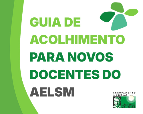 guia acolhimento novos docentes