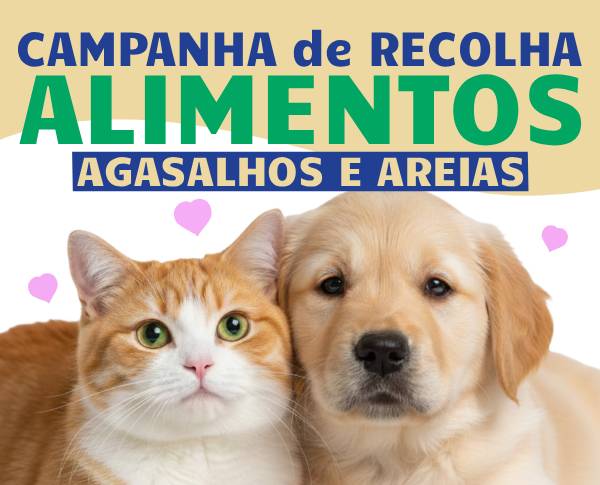 campanha recolha de alimentos